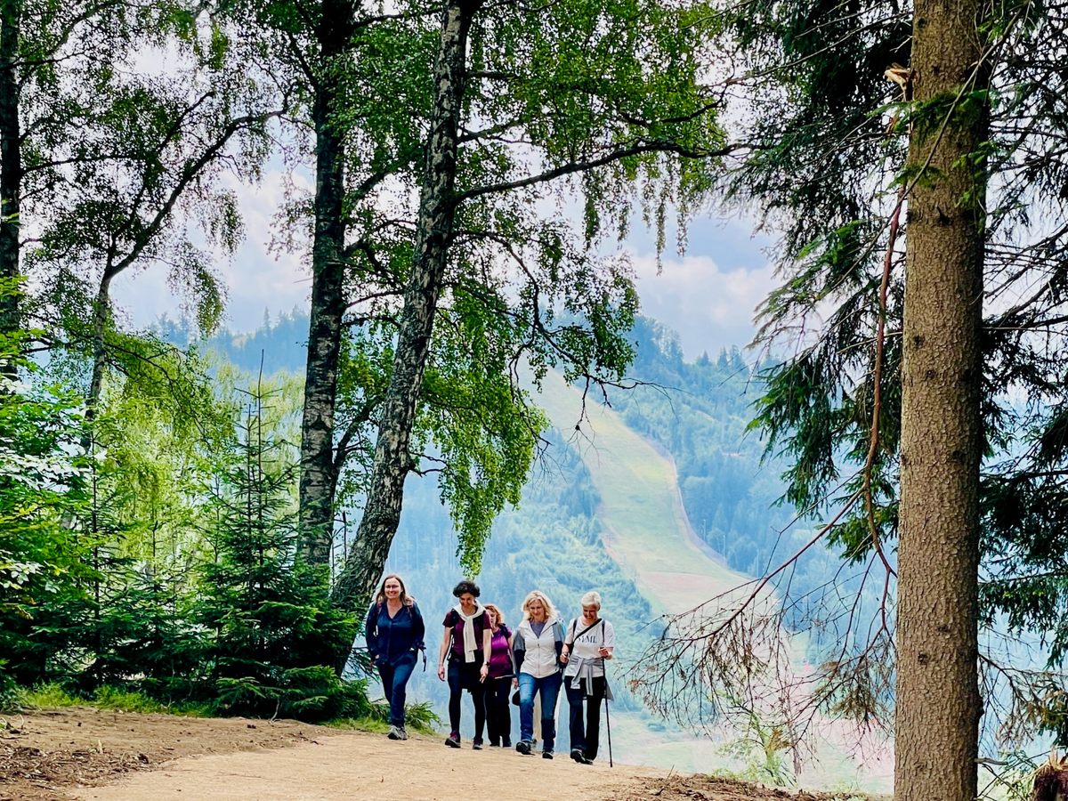 Hikers on a forest trail