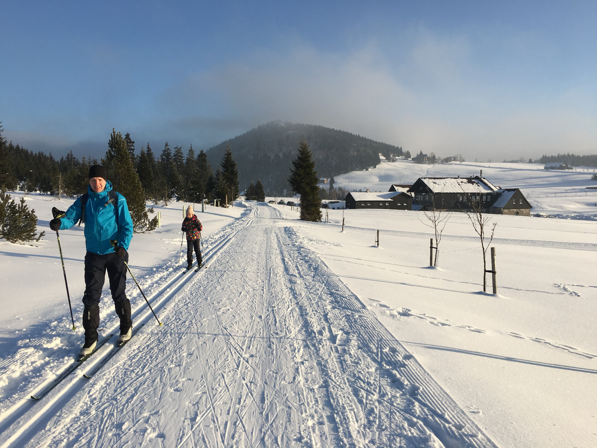 Cross-country skier on snowy track