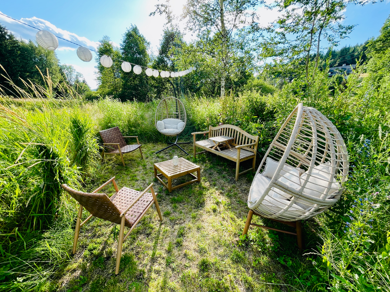 Garden and surroundings