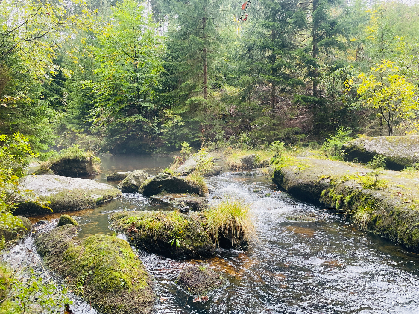 Řeka, která byla na Swarovského příliš krotká