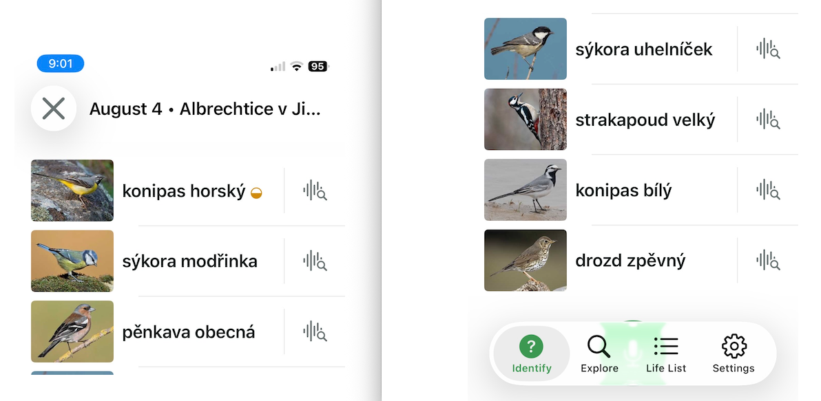 Ptačí koncert v zahradě pod taktovkou bezplatné aplikace Merlin