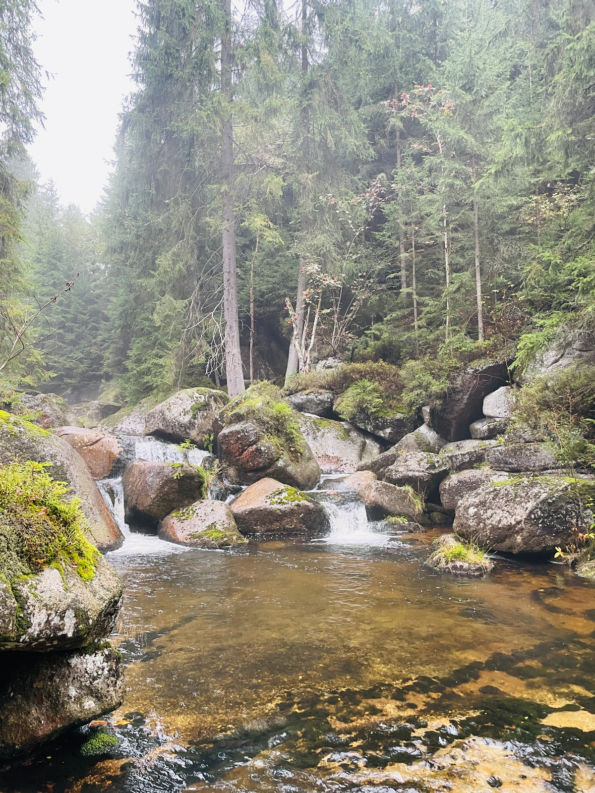 Řeka, která byla na Swarovského příliš krotká