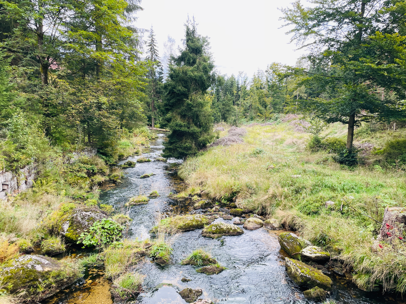 Řeka, která byla na Swarovského příliš krotká